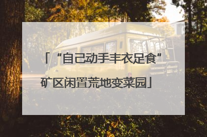 “自己动手丰衣足食”矿区闲置荒地变菜园