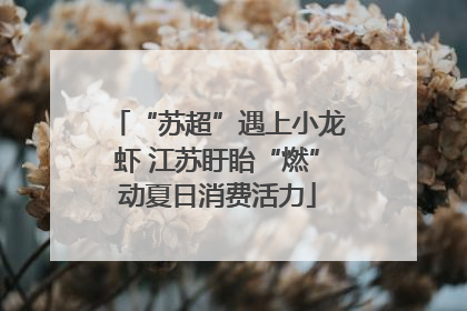 “苏超”遇上小龙虾 江苏盱眙“燃”动夏日消费活力