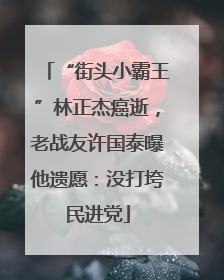 “街头小霸王”林正杰癌逝，老战友许国泰曝他遗愿：没打垮民进党