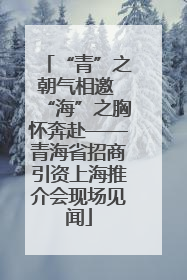 “青”之朝气相邀 “海”之胸怀奔赴——青海省招商引资上海推介会现场见闻