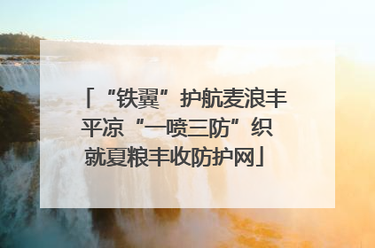 “铁翼”护航麦浪丰 平凉“一喷三防”织就夏粮丰收防护网