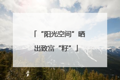 “阳光空间”晒出致富“籽”