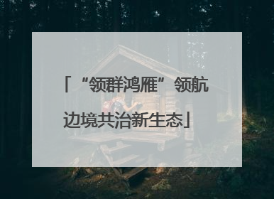 “领群鸿雁”领航边境共治新生态