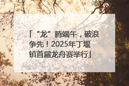 “龙”腾端午，破浪争先！2025年丁堰镇首届龙舟赛举行