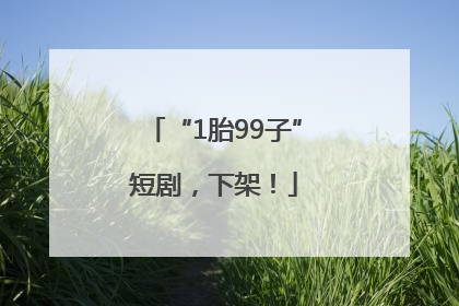 “1胎99子”短剧，下架！