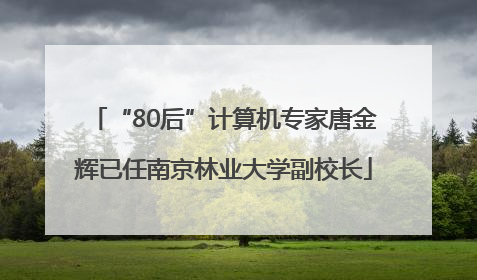 “80后”计算机专家唐金辉已任南京林业大学副校长