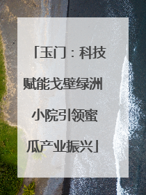 玉门：科技赋能戈壁绿洲 小院引领蜜瓜产业振兴