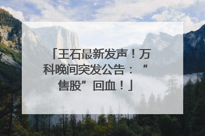 王石最新发声！万科晚间突发公告：“售股”回血！