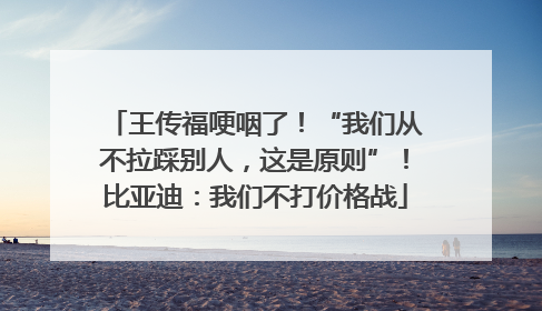 王传福哽咽了！“我们从不拉踩别人，这是原则”！比亚迪：我们不打价格战