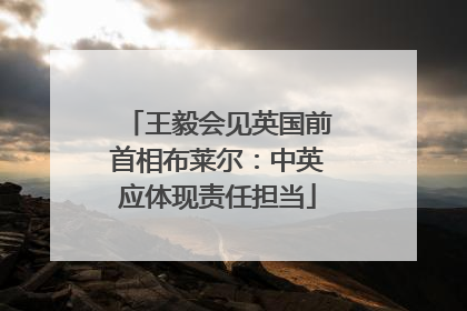 王毅会见英国前首相布莱尔：中英应体现责任担当