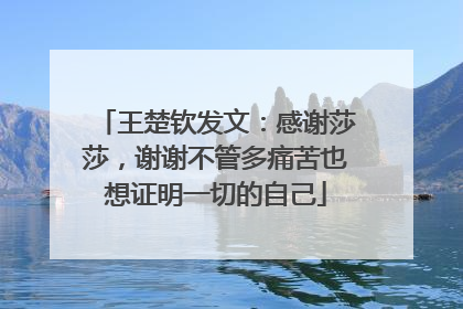 王楚钦发文：感谢莎莎，谢谢不管多痛苦也想证明一切的自己