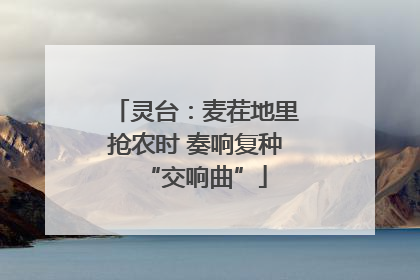灵台：麦茬地里抢农时 奏响复种“交响曲”