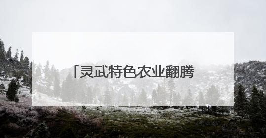 灵武特色农业翻腾振兴“致富浪”