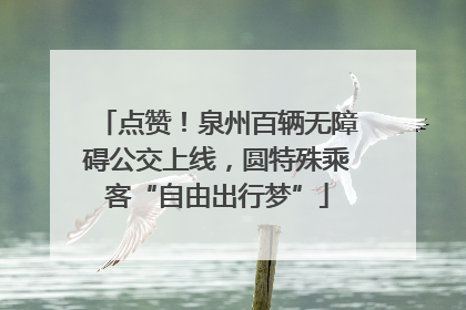 点赞！泉州百辆无障碍公交上线，圆特殊乘客“自由出行梦”
