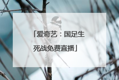 爱奇艺：国足生死战免费直播