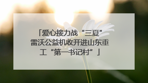 爱心接力战“三夏” 雷沃公益机收开进山东重工“第一书记村”