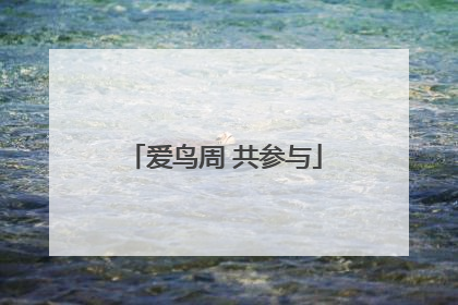 爱鸟周 共参与