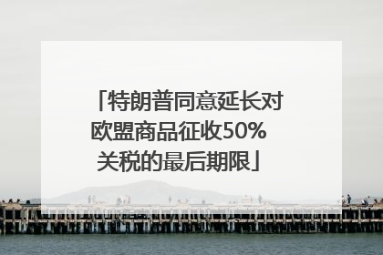 特朗普同意延长对欧盟商品征收50%关税的最后期限