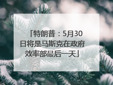 特朗普：5月30日将是马斯克在政府效率部最后一天