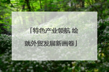特色产业领航 绘就外贸发展新画卷