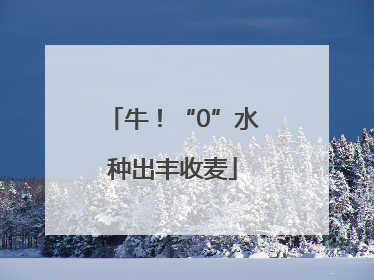 牛！“0”水种出丰收麦