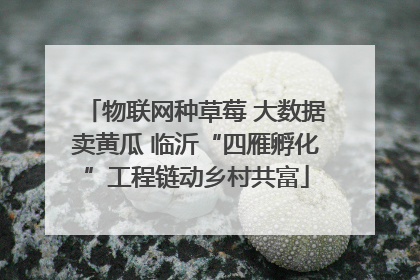 物联网种草莓 大数据卖黄瓜 临沂“四雁孵化”工程链动乡村共富