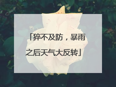 猝不及防，暴雨之后天气大反转