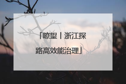 瞭望丨浙江探路高效能治理