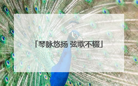 琴脉悠扬 弦歌不辍
