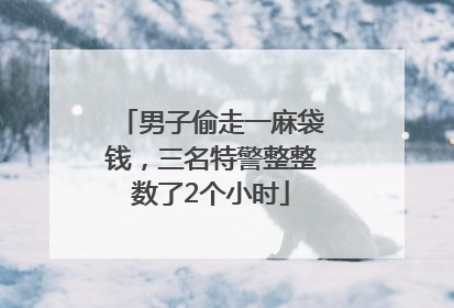 男子偷走一麻袋钱，三名特警整整数了2个小时
