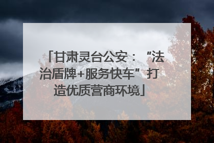 甘肃灵台公安：“法治盾牌+服务快车”打造优质营商环境