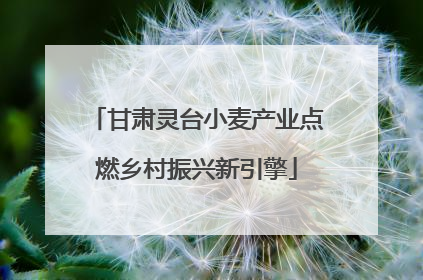 甘肃灵台小麦产业点燃乡村振兴新引擎