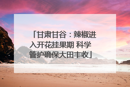 甘肃甘谷：辣椒进入开花挂果期 科学管护确保大田丰收
