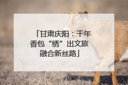 甘肃庆阳：千年香包“绣”出文旅融合新丝路