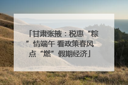 甘肃张掖：税惠“粽”情端午 看政策春风点“燃”假期经济