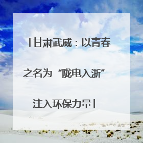 甘肃武威：以青春之名为“陇电入浙”注入环保力量
