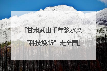 甘肃武山千年浆水菜“科技焕新”走全国