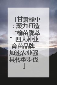 甘肃榆中：聚力打造“榆苗陇萃”四大种业育苗品牌 加速农业强县转型步伐
