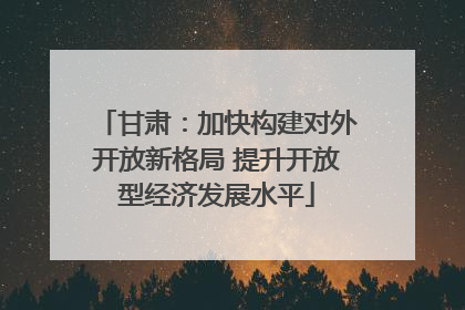 甘肃：加快构建对外开放新格局 提升开放型经济发展水平