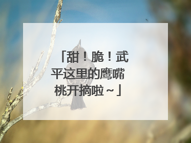 甜！脆！武平这里的鹰嘴桃开摘啦～