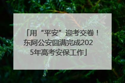 用“平安”迎考交卷！东阿公安圆满完成2025年高考安保工作