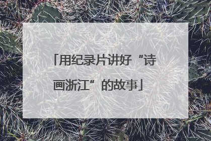 用纪录片讲好“诗画浙江”的故事