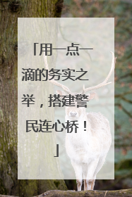 用一点一滴的务实之举，搭建警民连心桥！