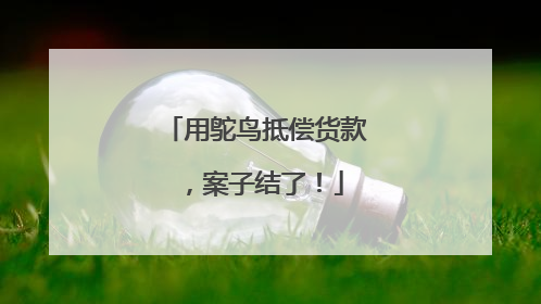 用鸵鸟抵偿货款，案子结了！