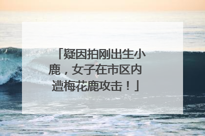 疑因拍刚出生小鹿，女子在市区内遭梅花鹿攻击！