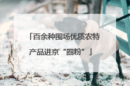 百余种围场优质农特产品进京“圈粉”