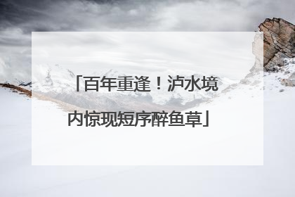 百年重逢！泸水境内惊现短序醉鱼草