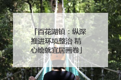 百花湖镇：纵深推进环境整治 精心绘就宜居画卷