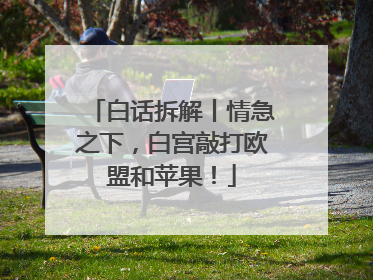白话拆解丨情急之下，白宫敲打欧盟和苹果！