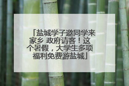 盐城学子邀同学来家乡 政府请客！这个暑假，大学生多项福利免费游盐城